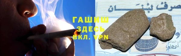 стаф Горняк