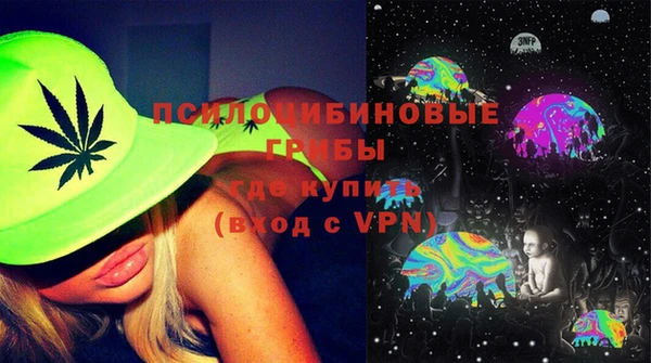 стаф Горняк