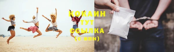 стаф Горняк