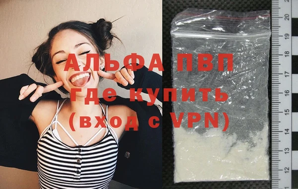 стаф Горняк