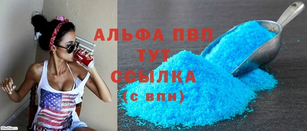 стаф Горняк