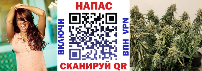 МАРИХУАНА OG Kush  Купить где  Буинск 